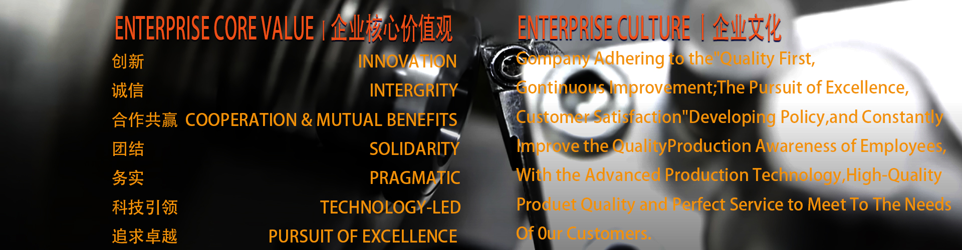 ENTERPRISE CULTURE